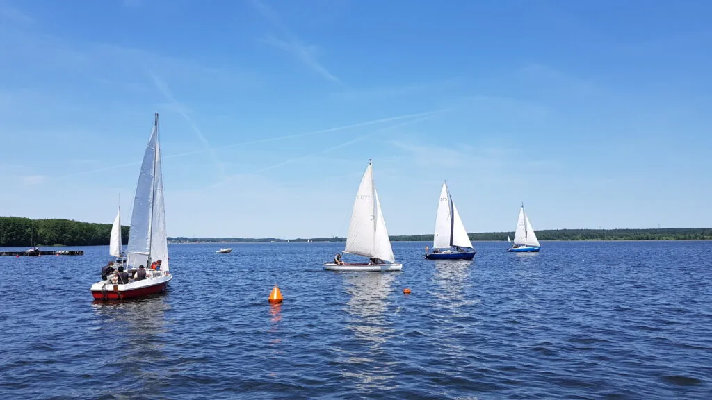 Załogi kilku jachtów żeglujących po jeziorze pod białymi żaglami